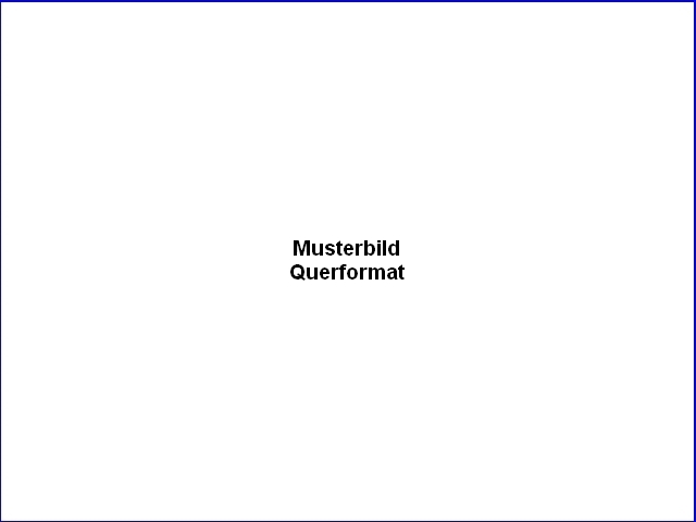 Musterbild-Querformat-010